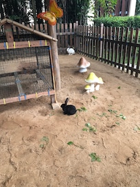 酒店有個小動物園區