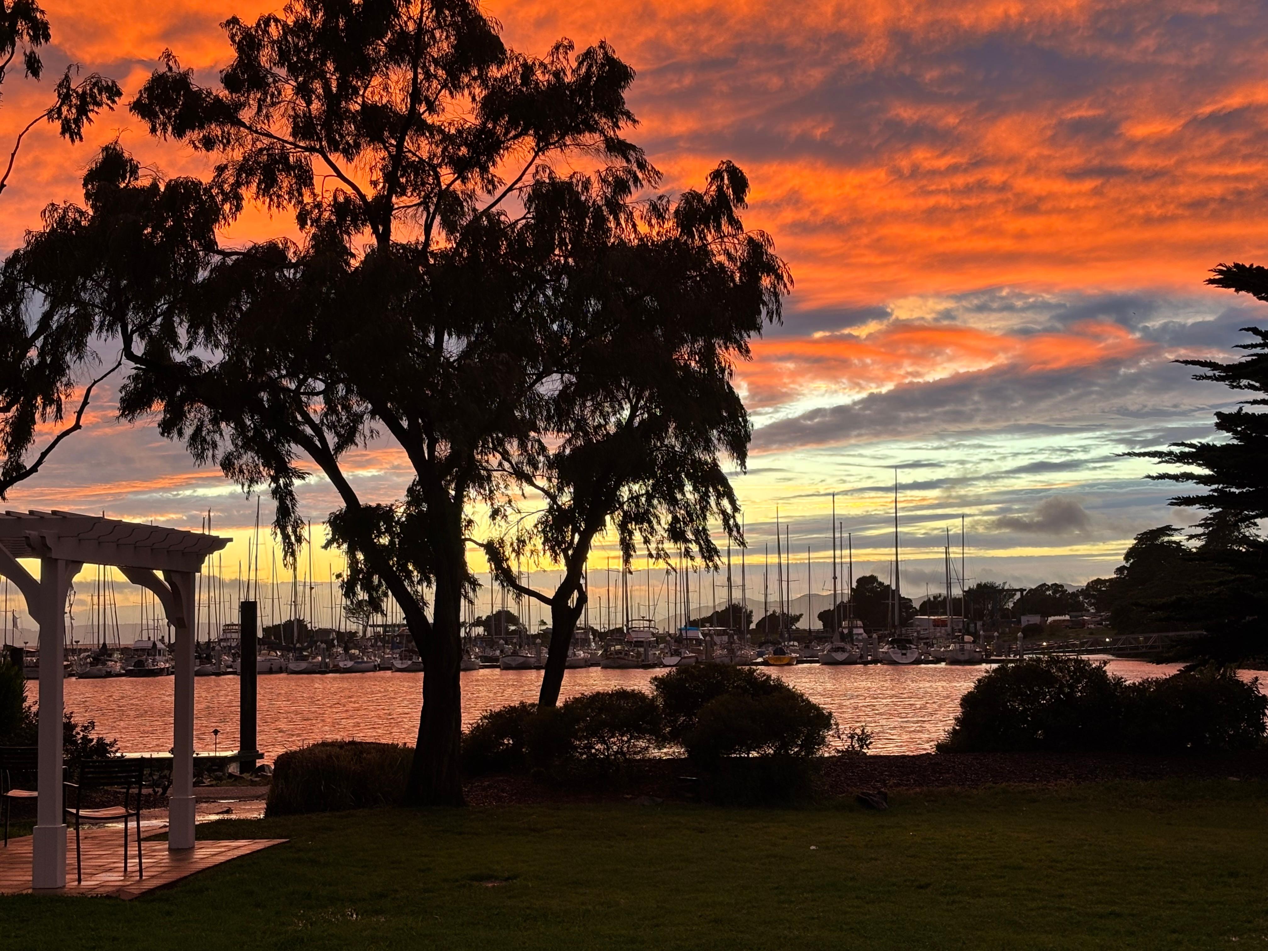 This was the sunset from our Marina view room