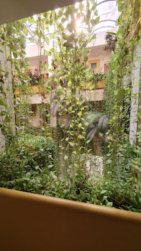 The hanging gardens in the atrium