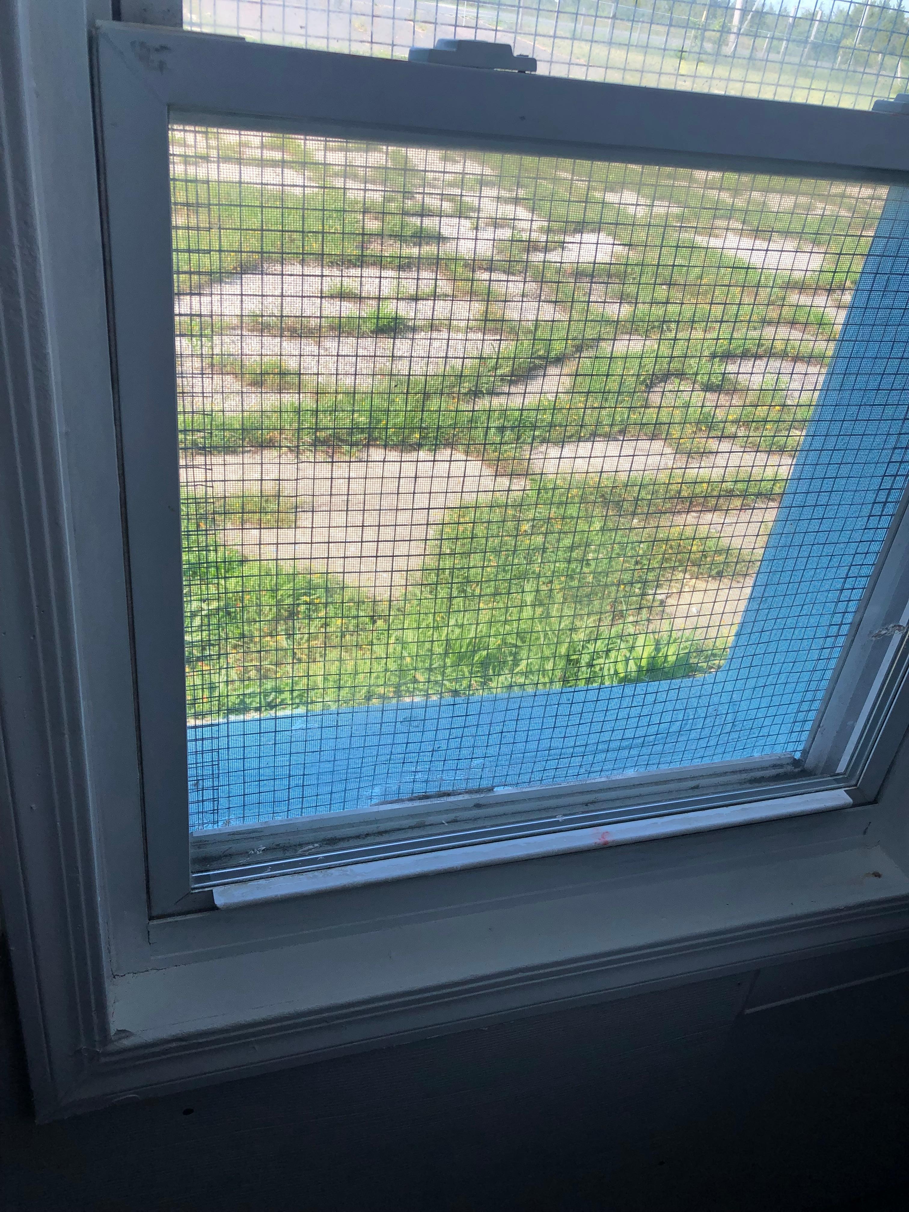 Window view of Open Field inside the room.