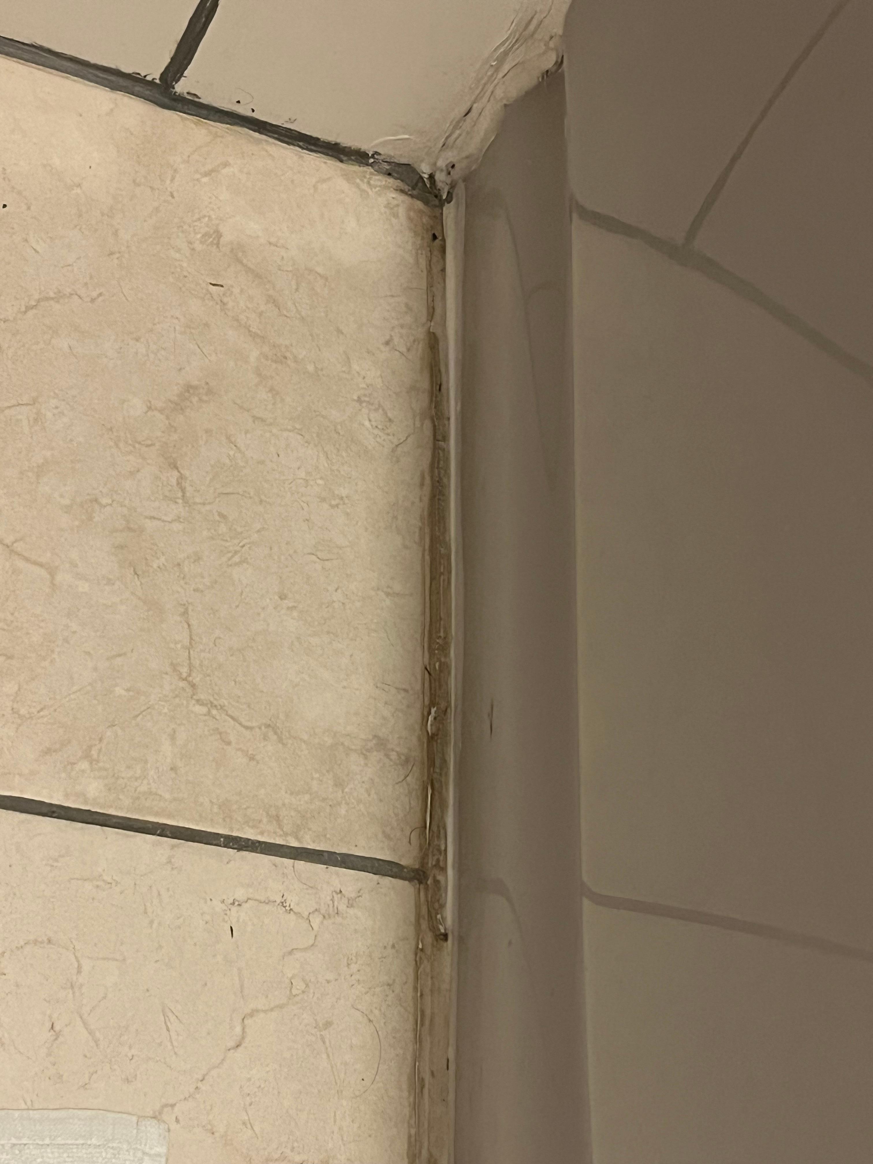 Mould in grout