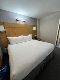 king size bed, sofa bed in the living room, 2 TVs