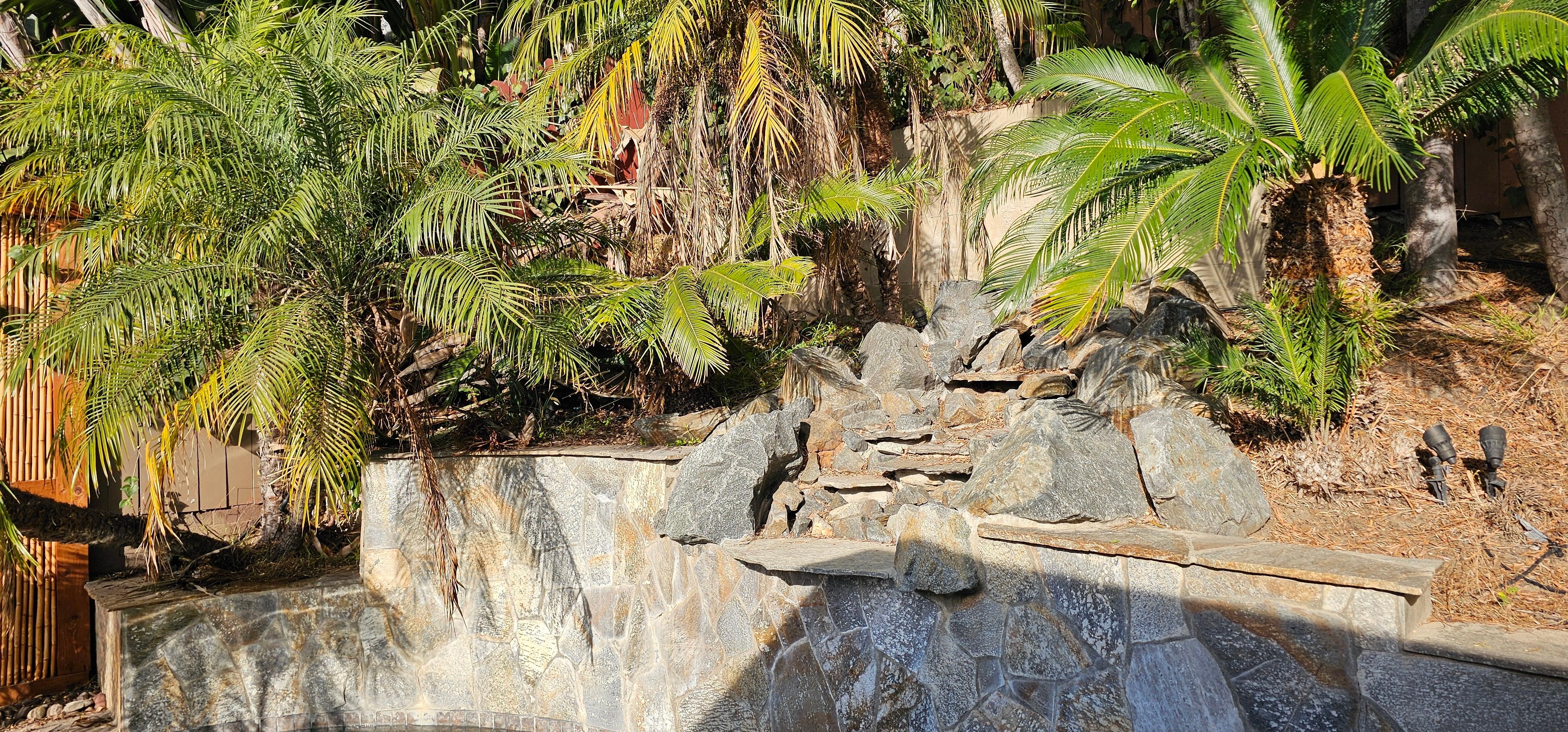 Pool and landscaping between home and neighbors provides lots of privacy.