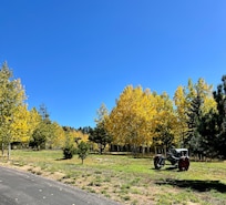 Gorgeous area
