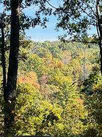 View from the back porch of cabin.