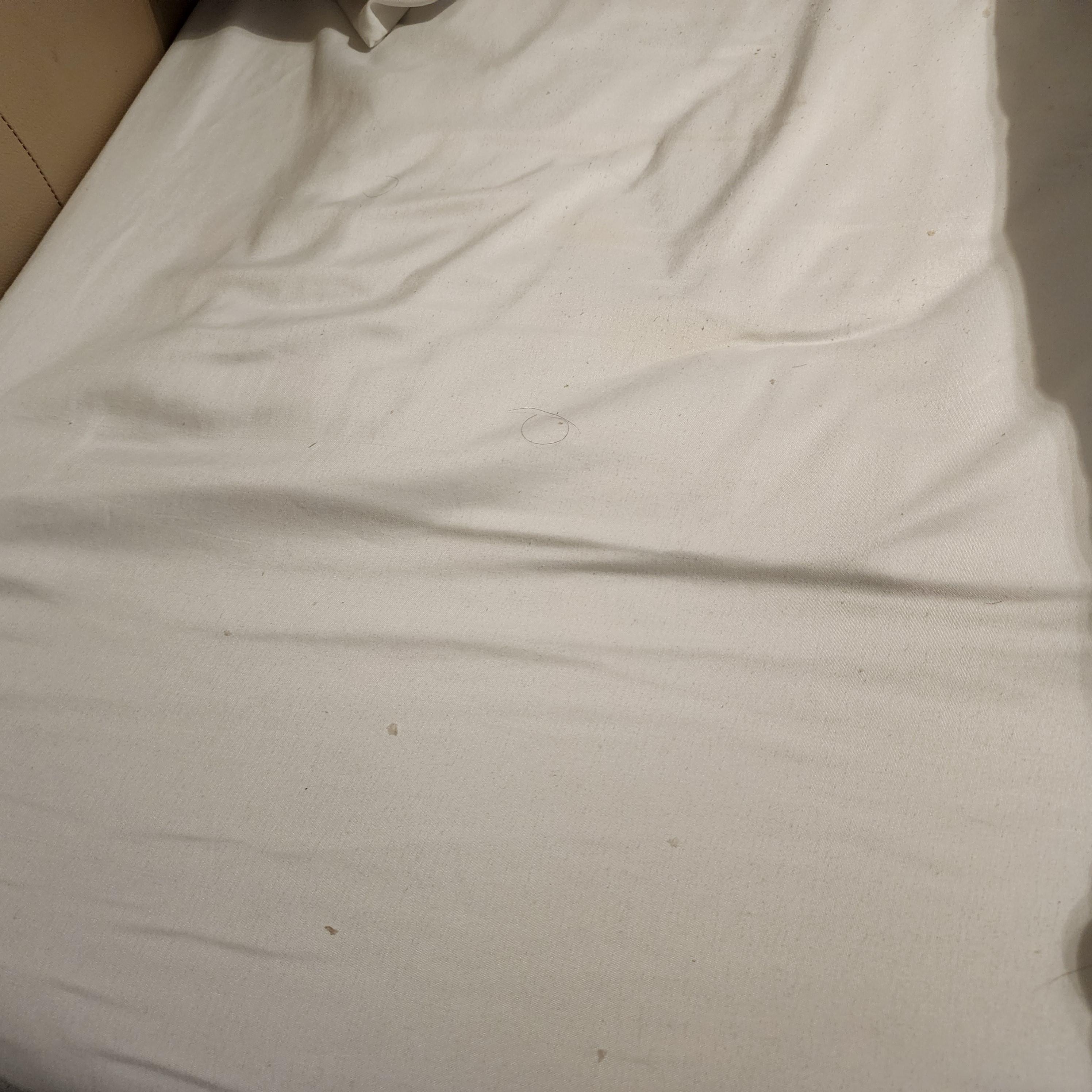 Hair all over bed sheets