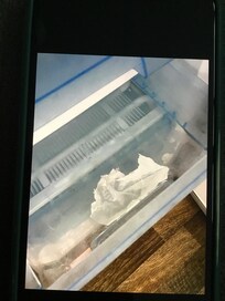 Kühlschrank verdreckt und miefig