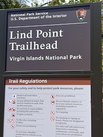 Took the ferry to St. John and hiked to honeymoon beach! Perfect day!