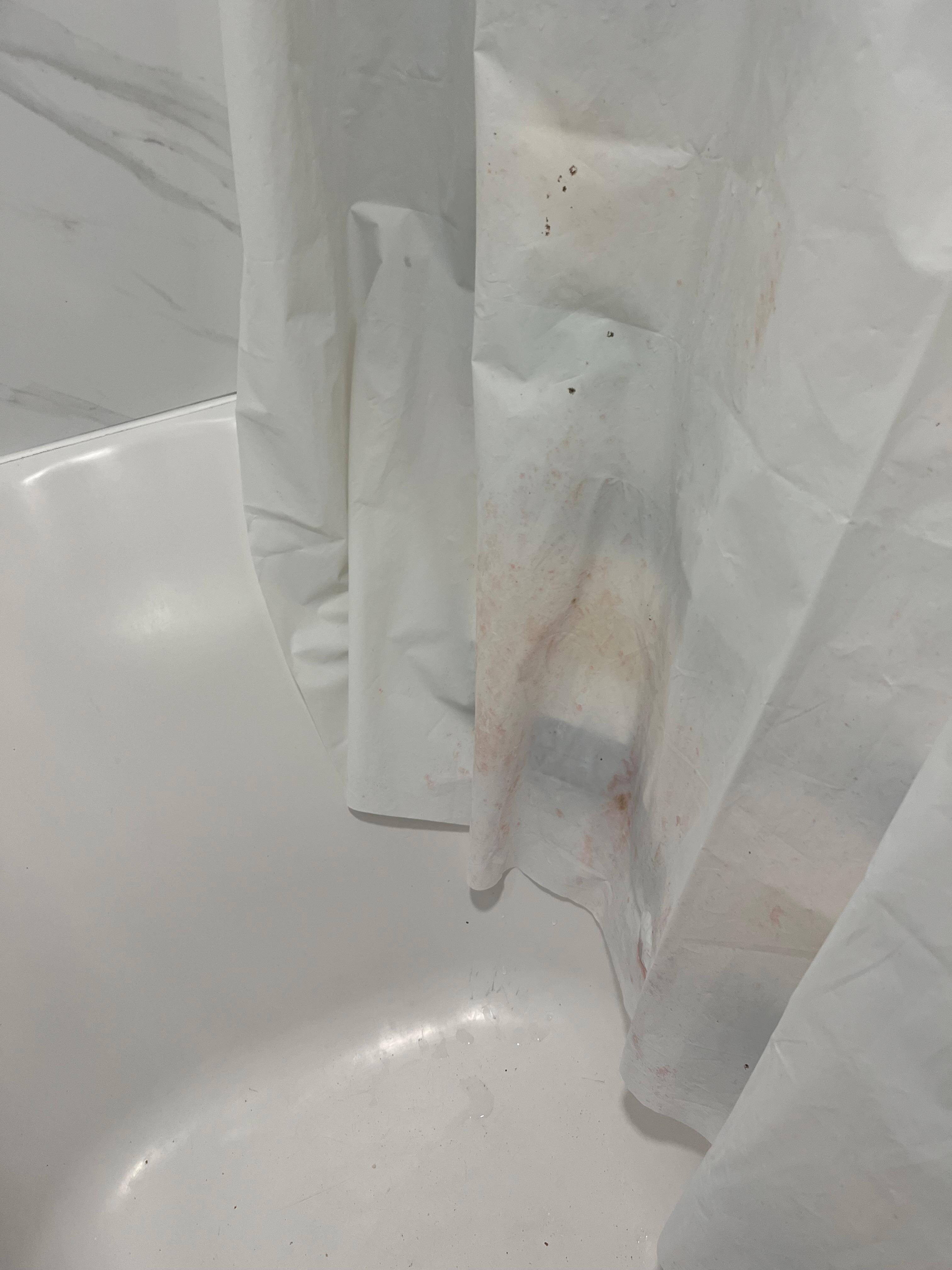 Mildew in shower