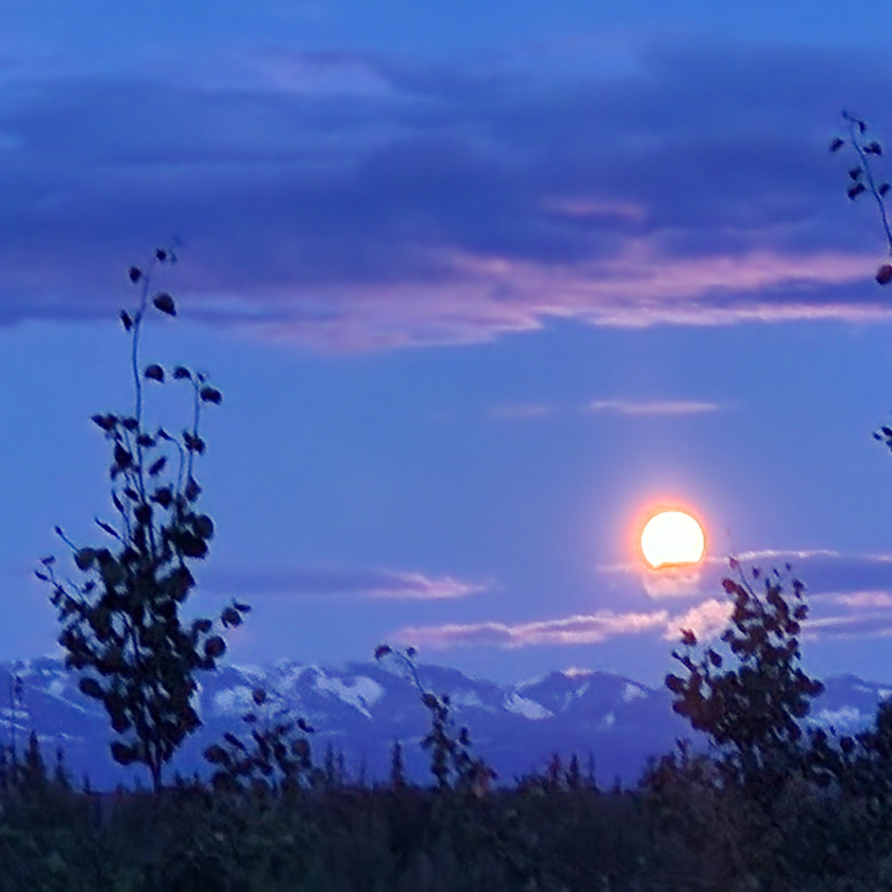 Moon from back deck