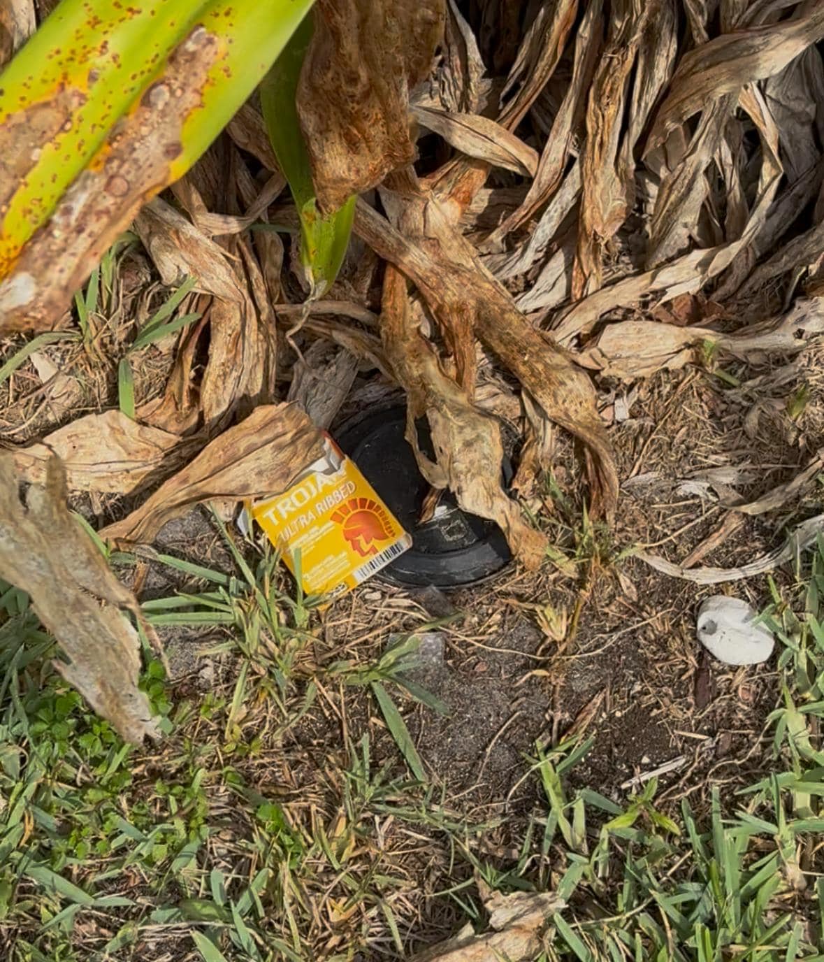 Condom boxes in front yard