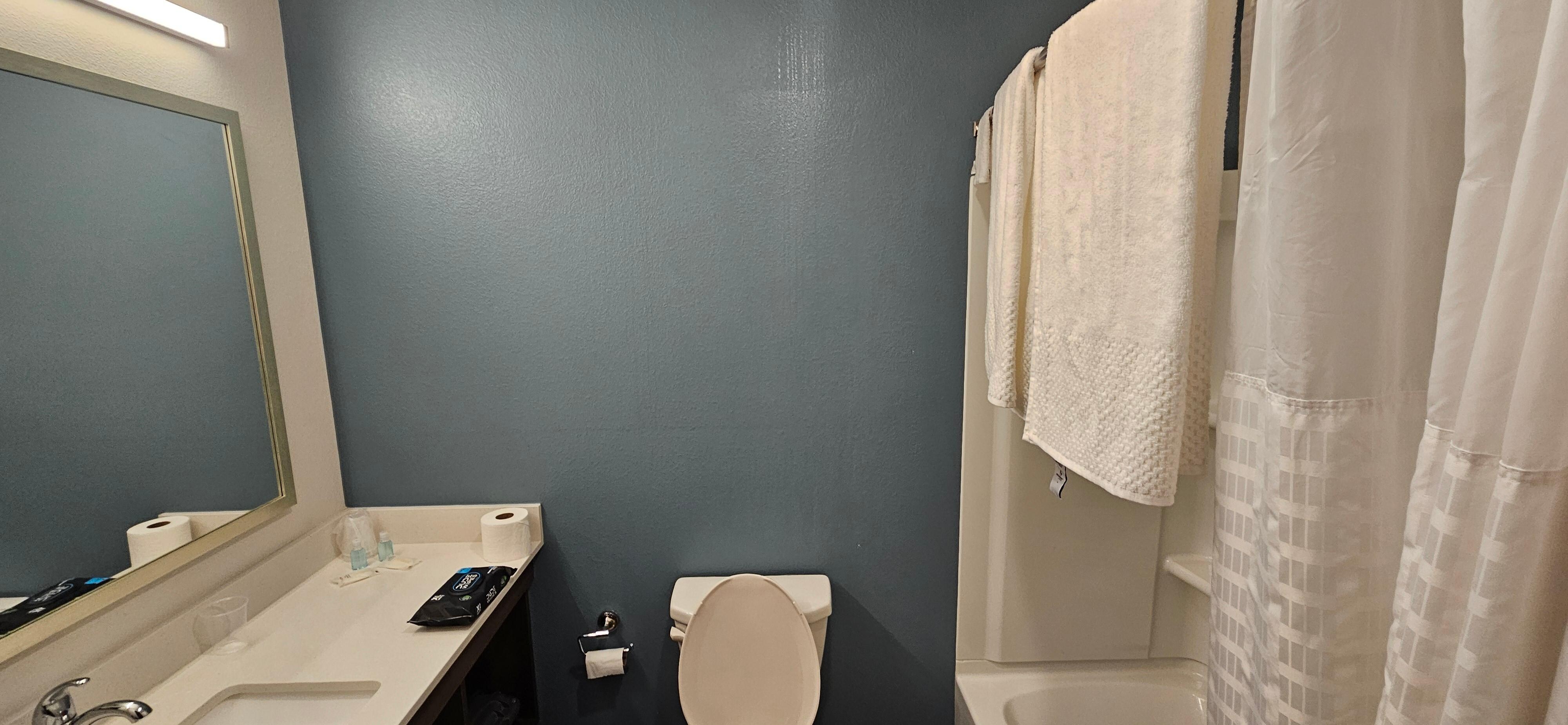 Bare ass wall primed for a real towel rack