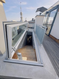Roof top access