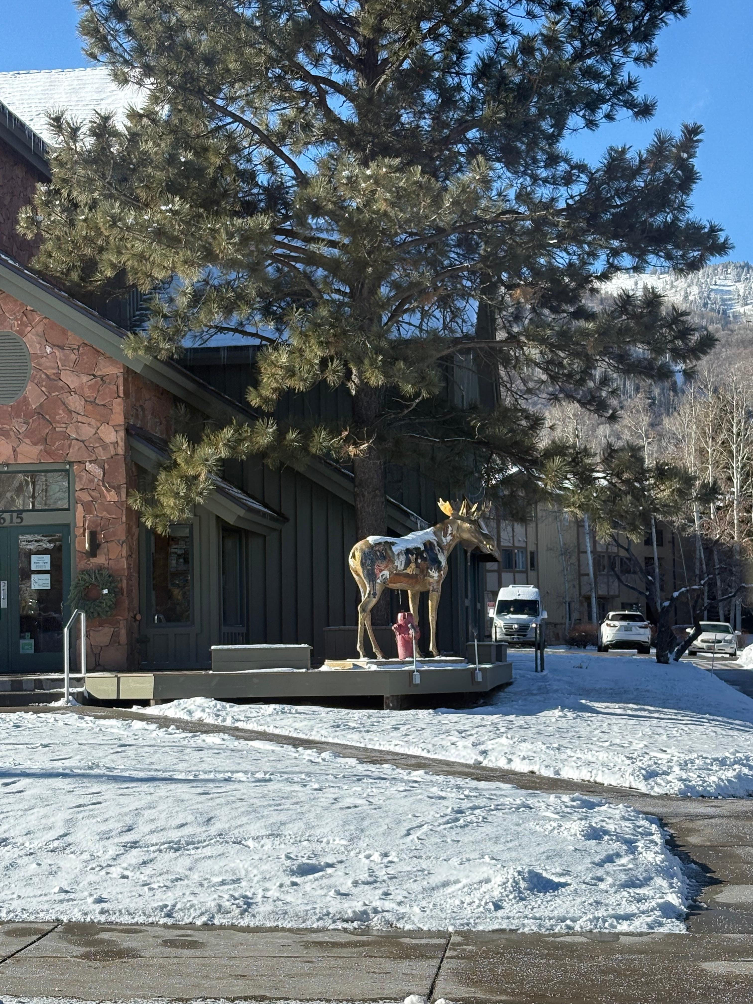 Local art in Park City
