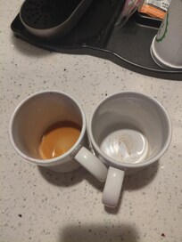This was left in our sink for two days after allowing them to come in and CLEAN