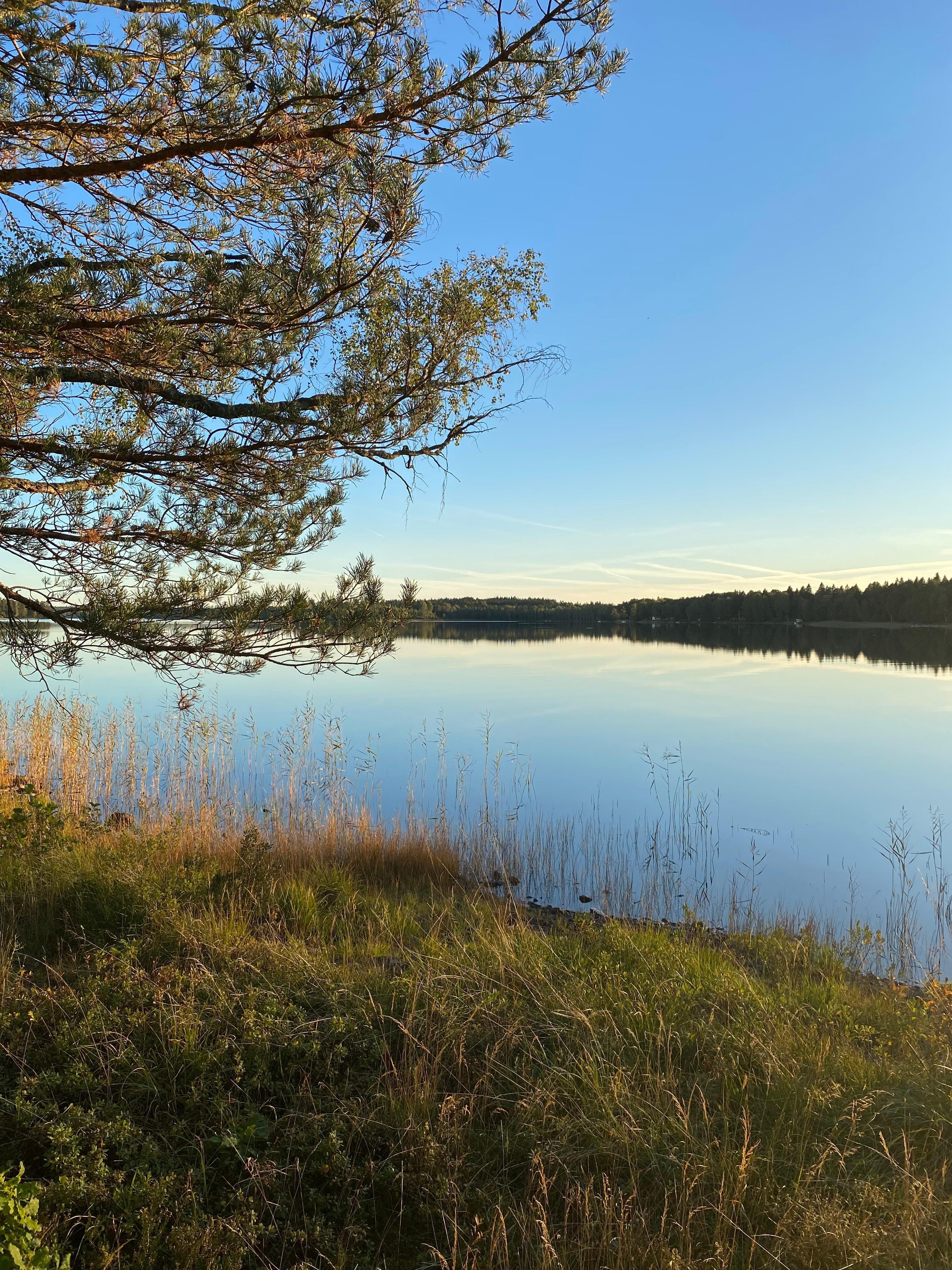 Nära hotellet finns den här sjön