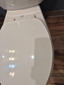 Dirty & Hair on lid And Toilet