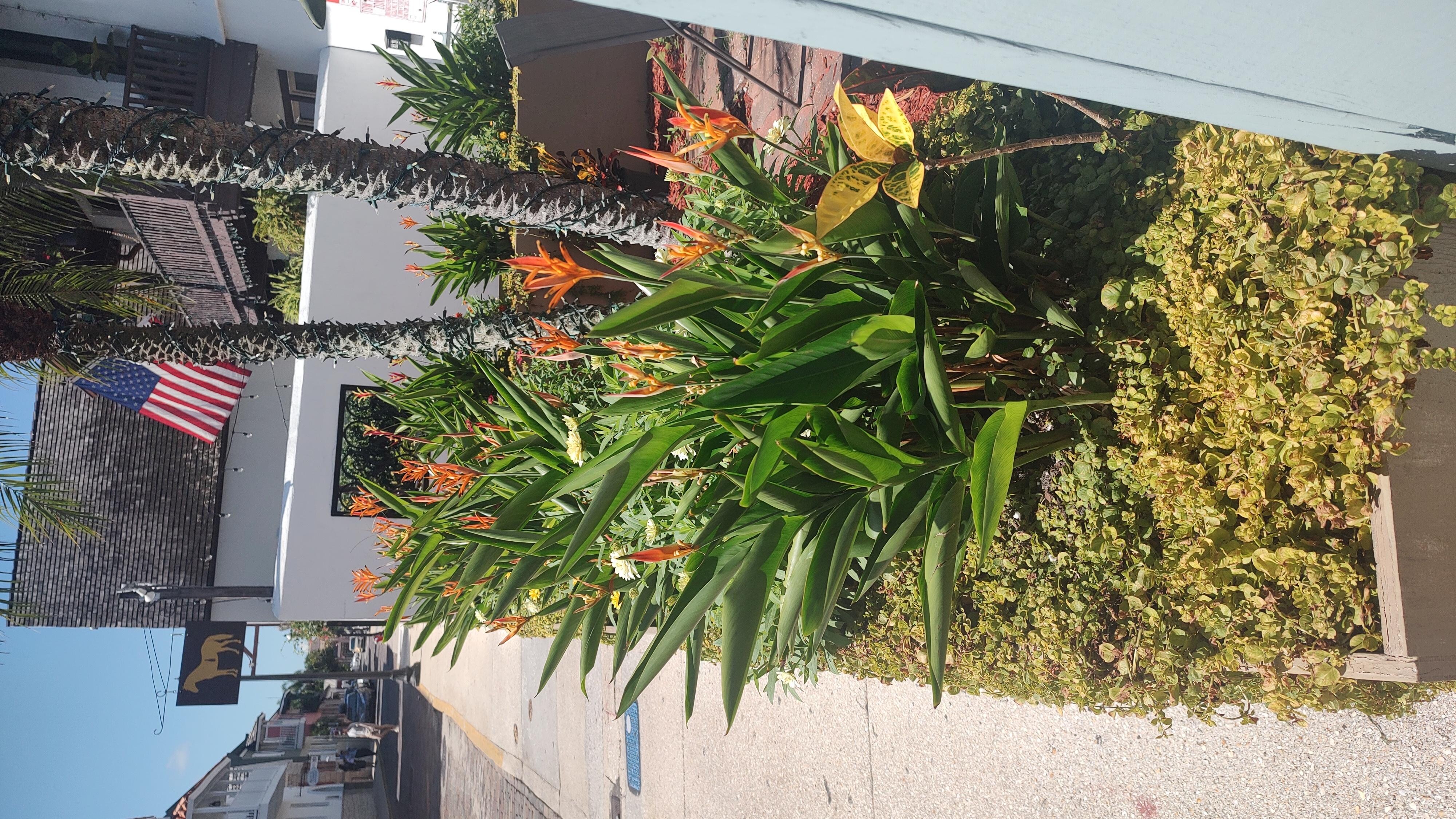 Flower's 