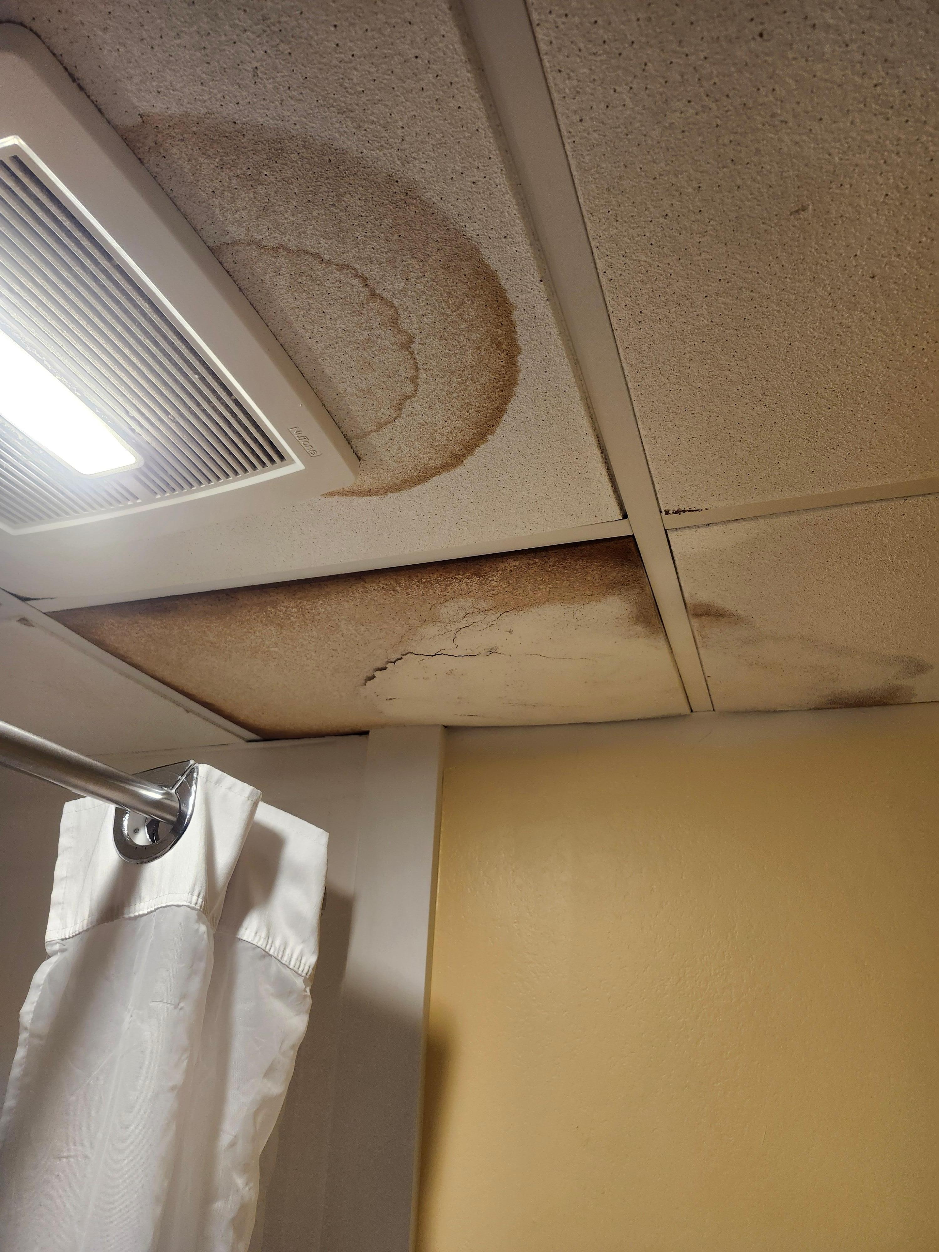Moldy, saturated and stained ceiling tile in the 1st floor of the motels bathroom