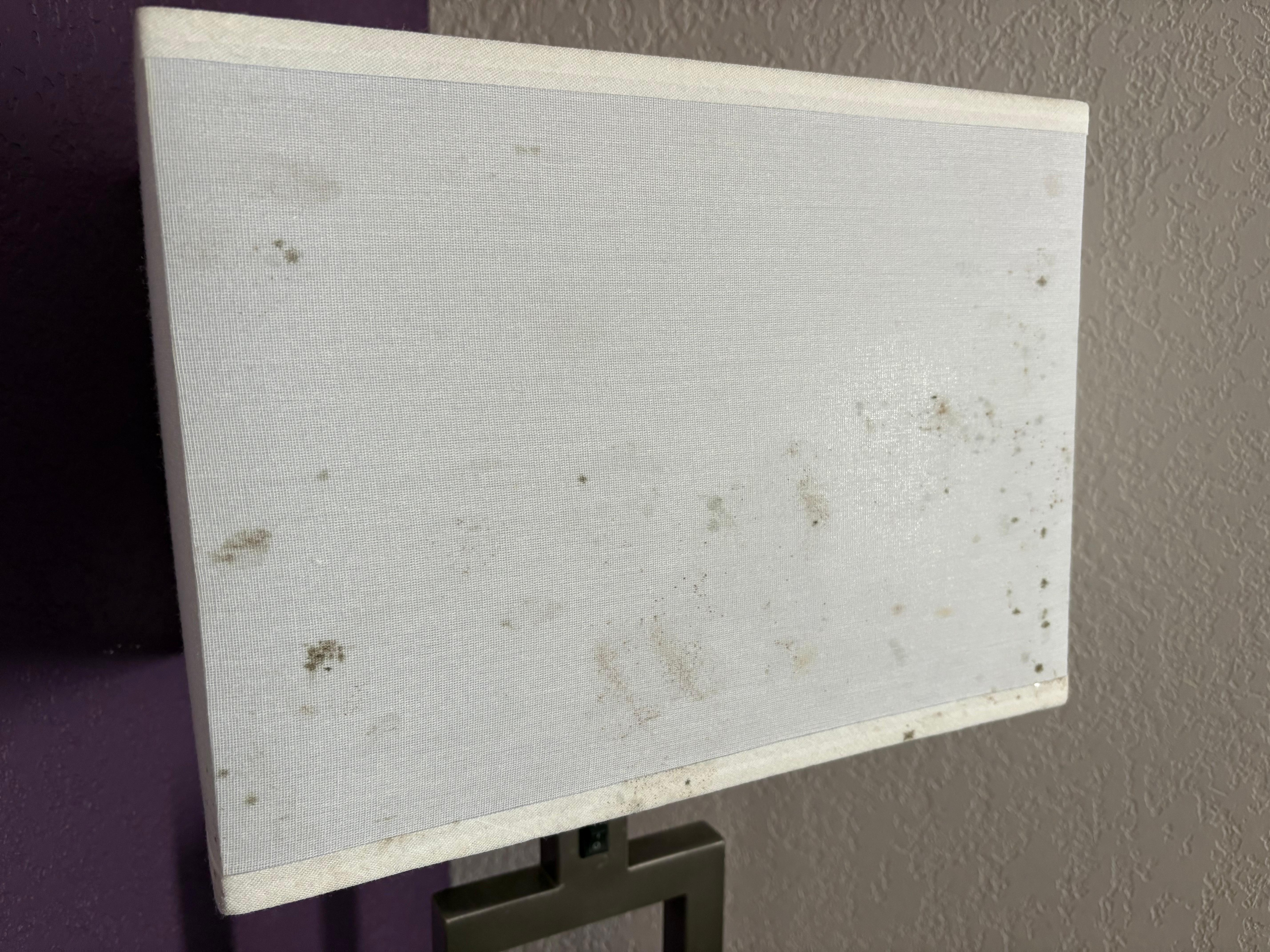 Mold on lamp
