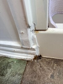 Mold in 2nd bathroom