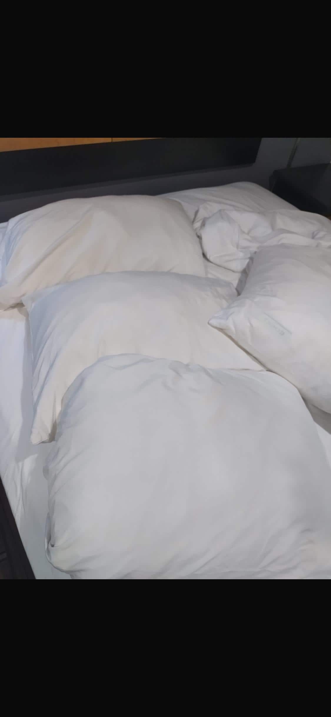 Pillows suppose to be White but they were BROWN with massive stains.