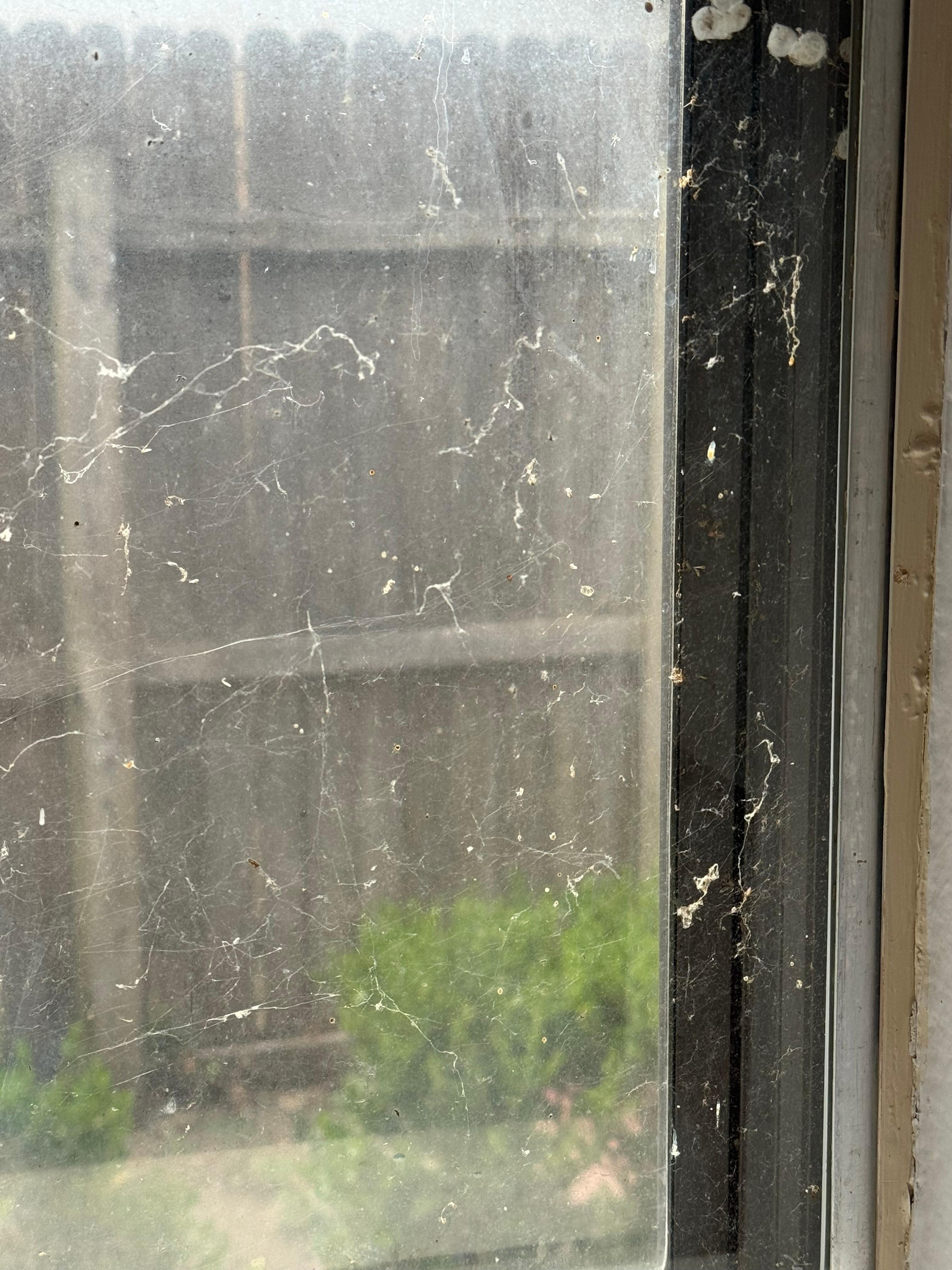 Kitchen window before cleaners came 