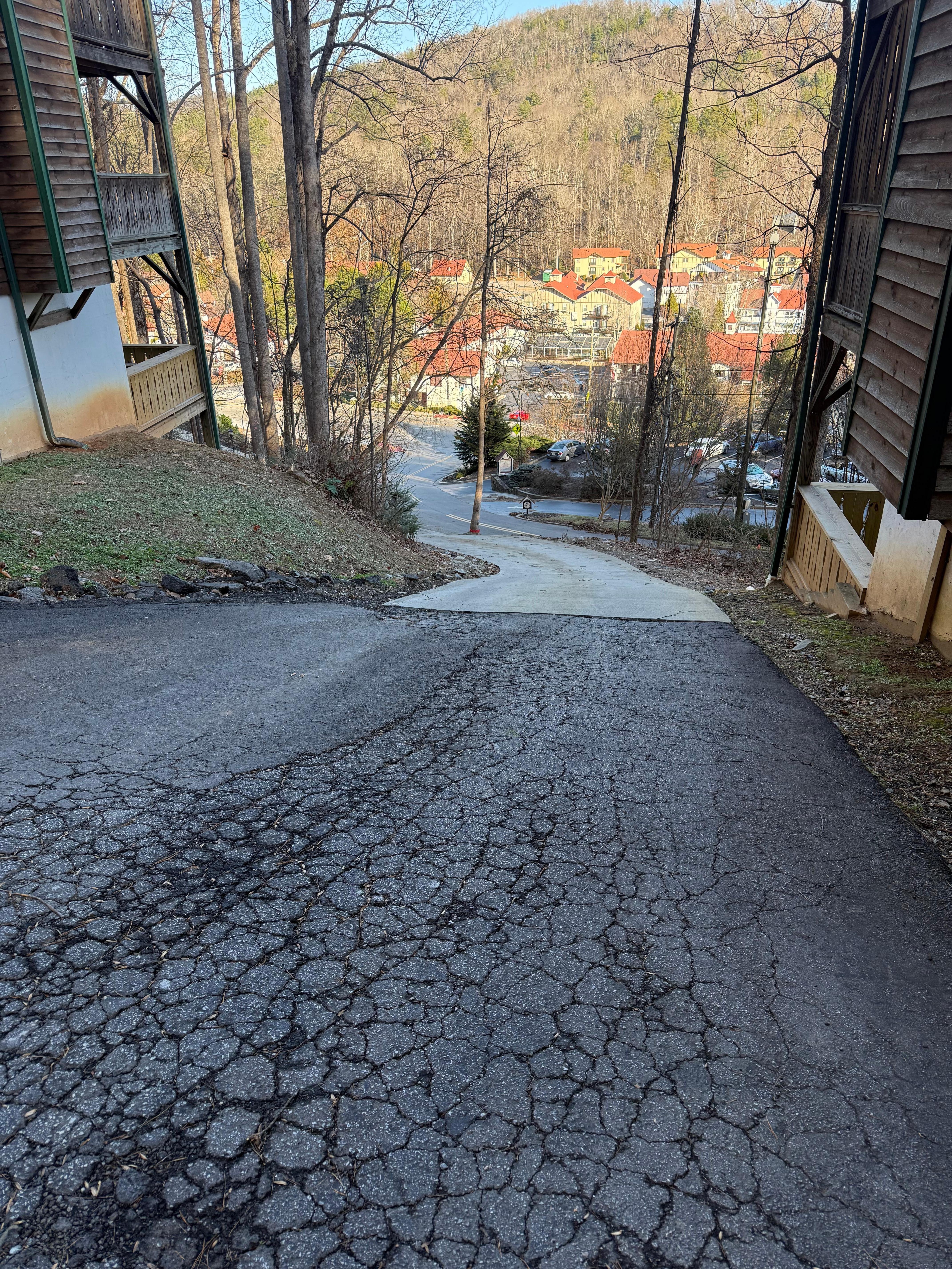 View of driveway looking down and trust me the picture does not describe how steep it is