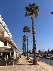 Promenade der Marina