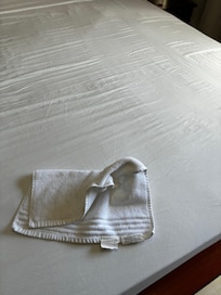 Map does not show room