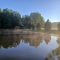 So pretty. Deer, Canadian geese, and a thousand fireflies. Oh, and a pet cat. She likes scrambled eggs. Check out the pine trees in my picture and yours.