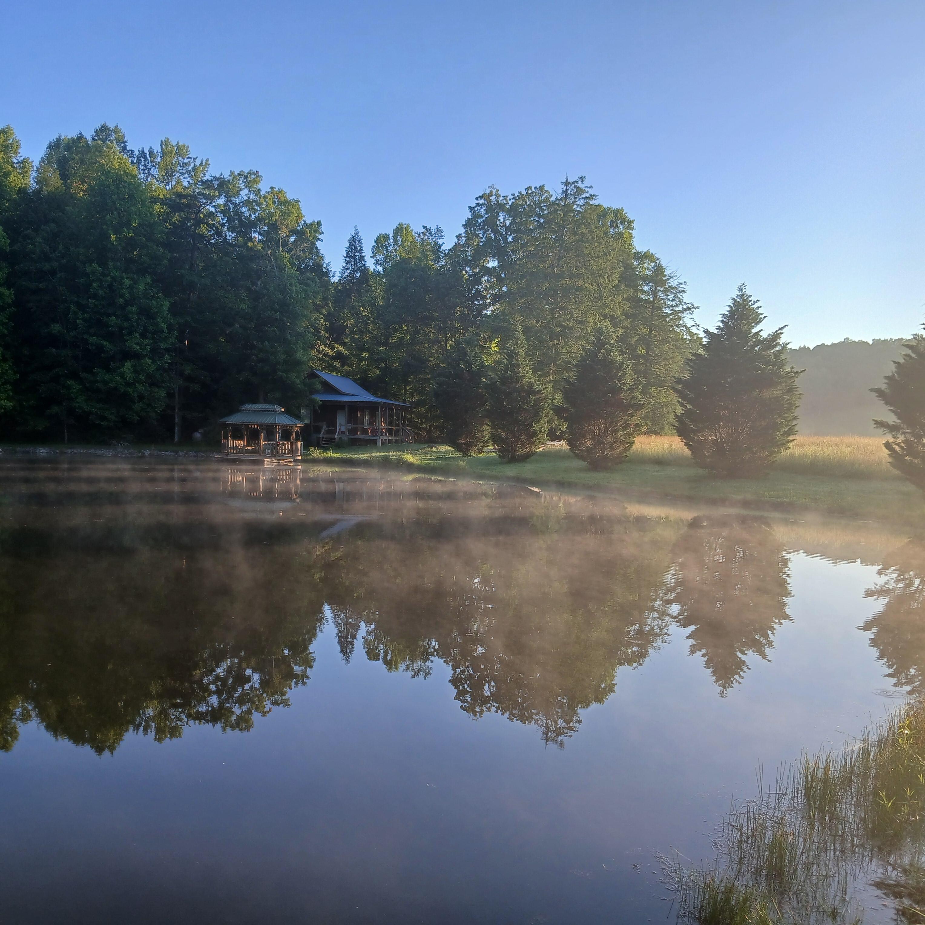 So pretty. Deer, Canadian geese, and a thousand fireflies. Oh, and a pet cat. She likes scrambled eggs. Check out the pine trees in my picture and yours.  