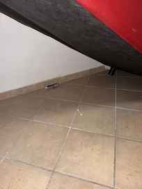 Trash under the bed