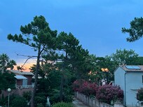 Blick vom Haus Richtung Meer