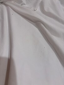 Crumbs and hair on sheets