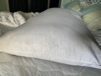 Moldy pillow number two