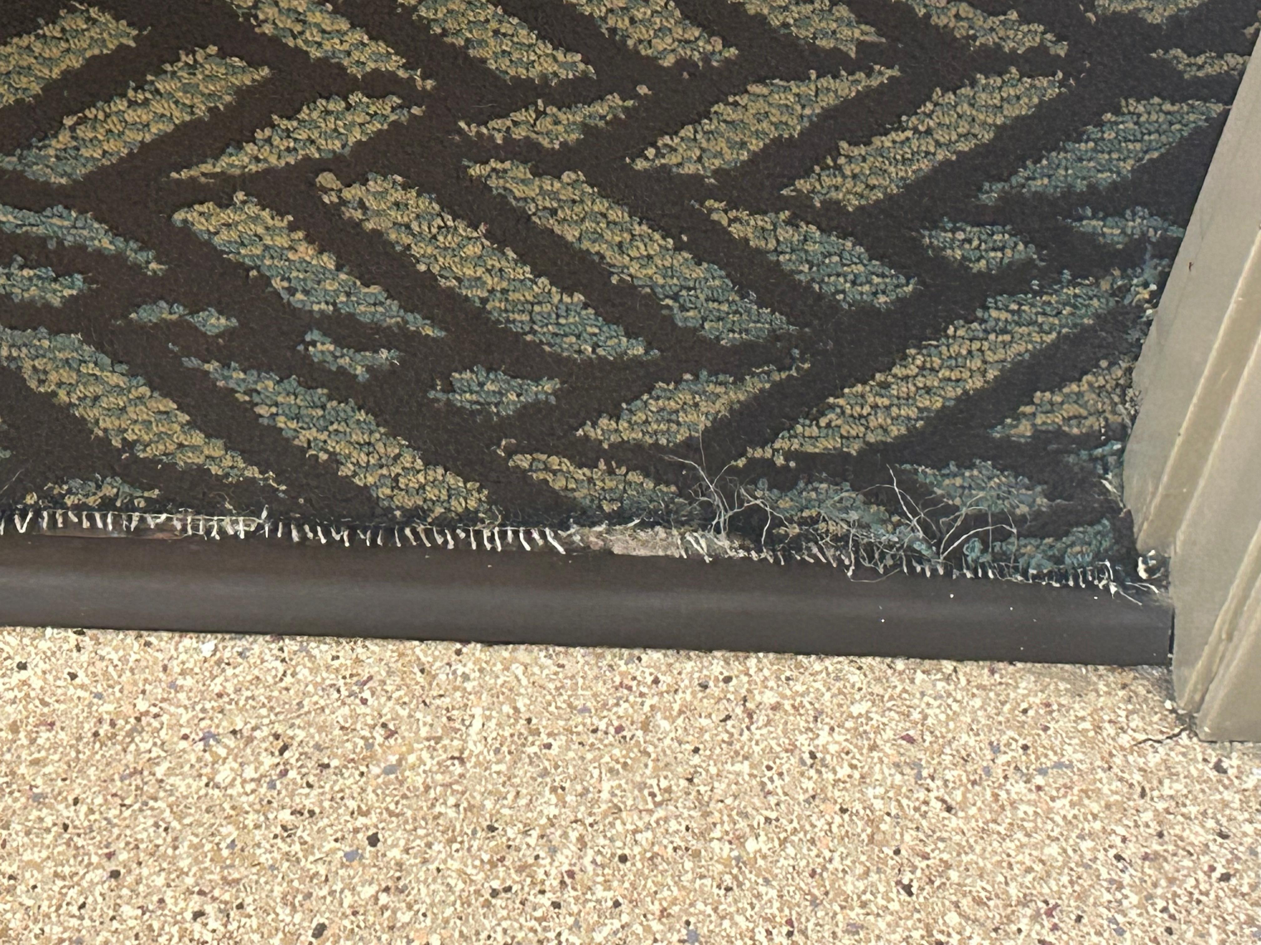 Carpet into bathroom