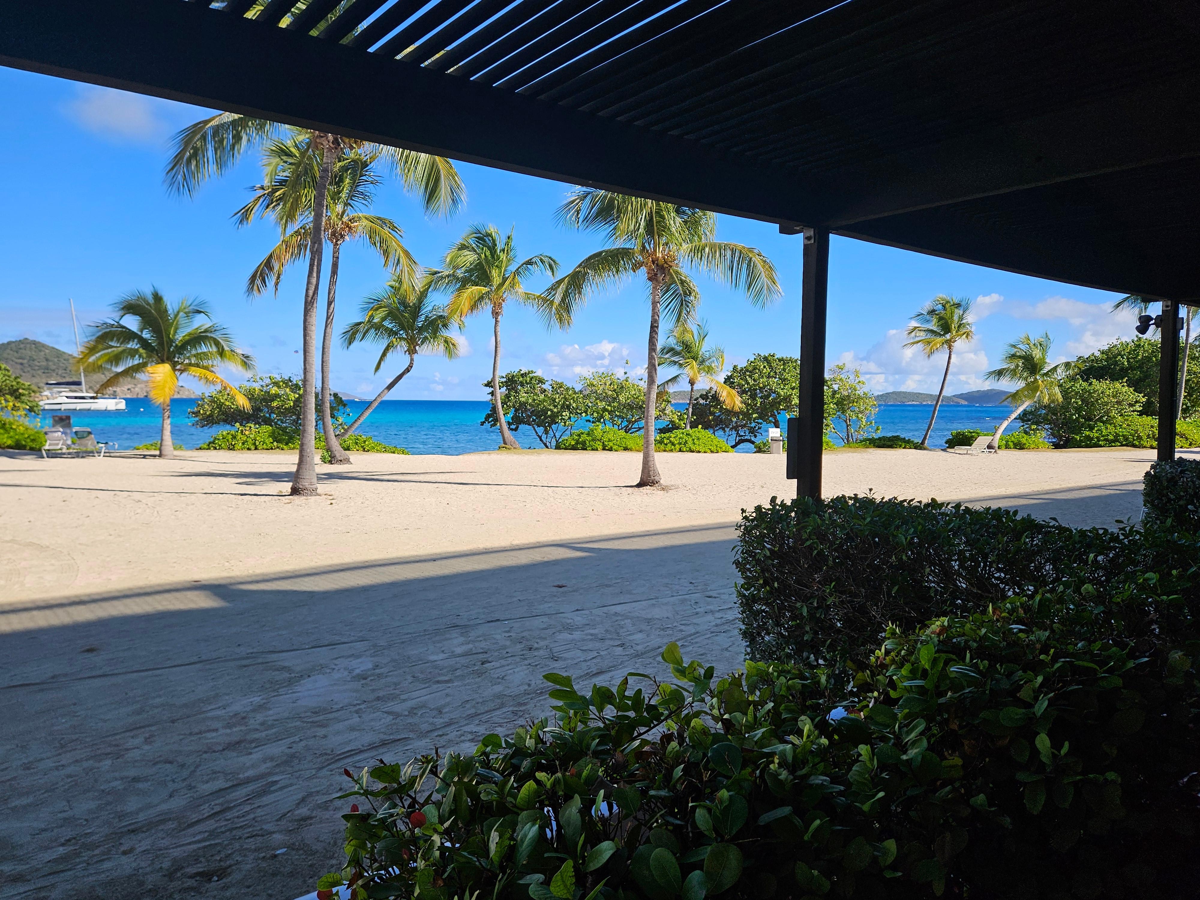 View from back door. 