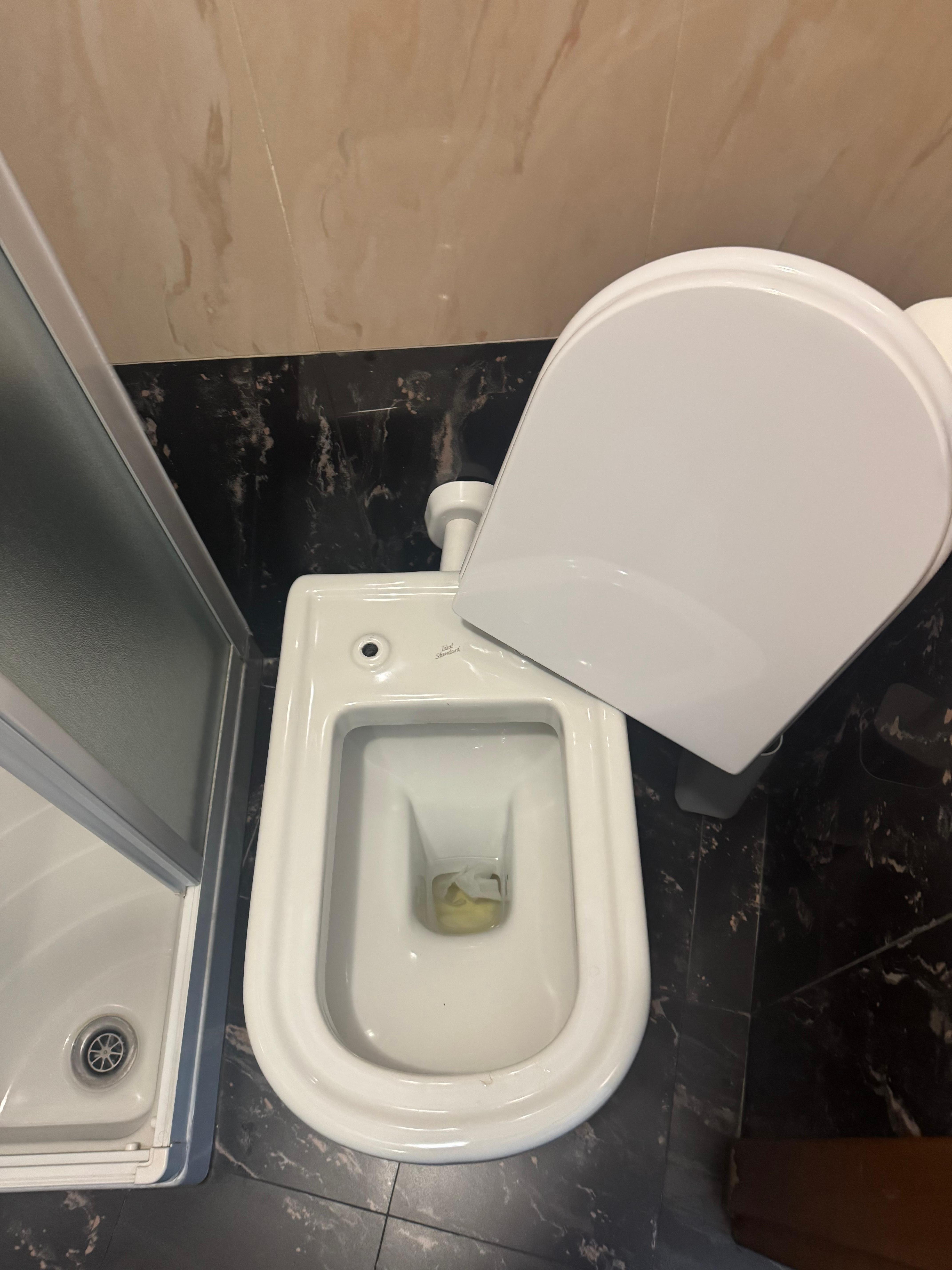 Loose toilet lid