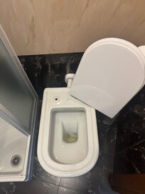 Loose toilet lid