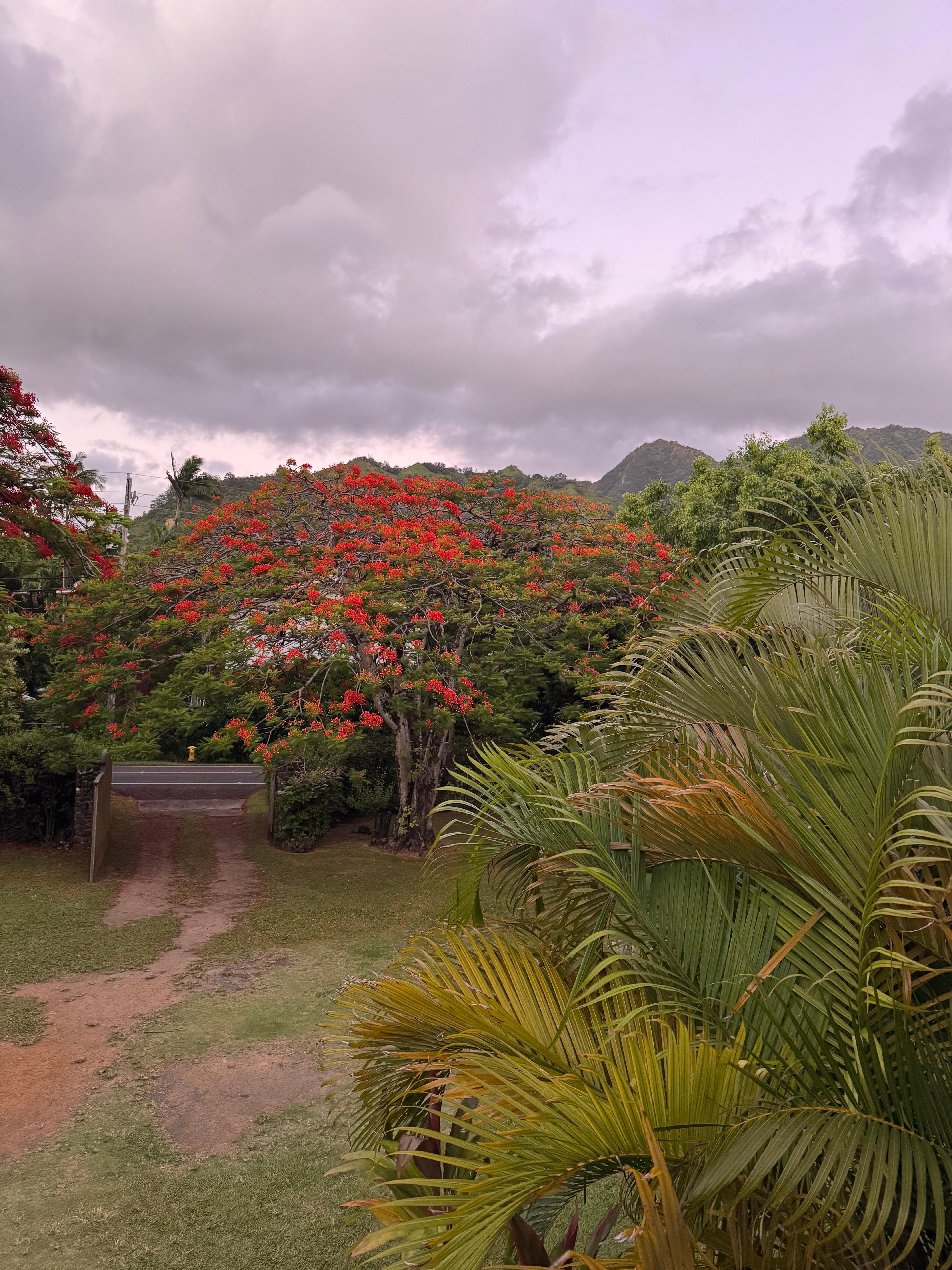 Plenty of room in front of the house