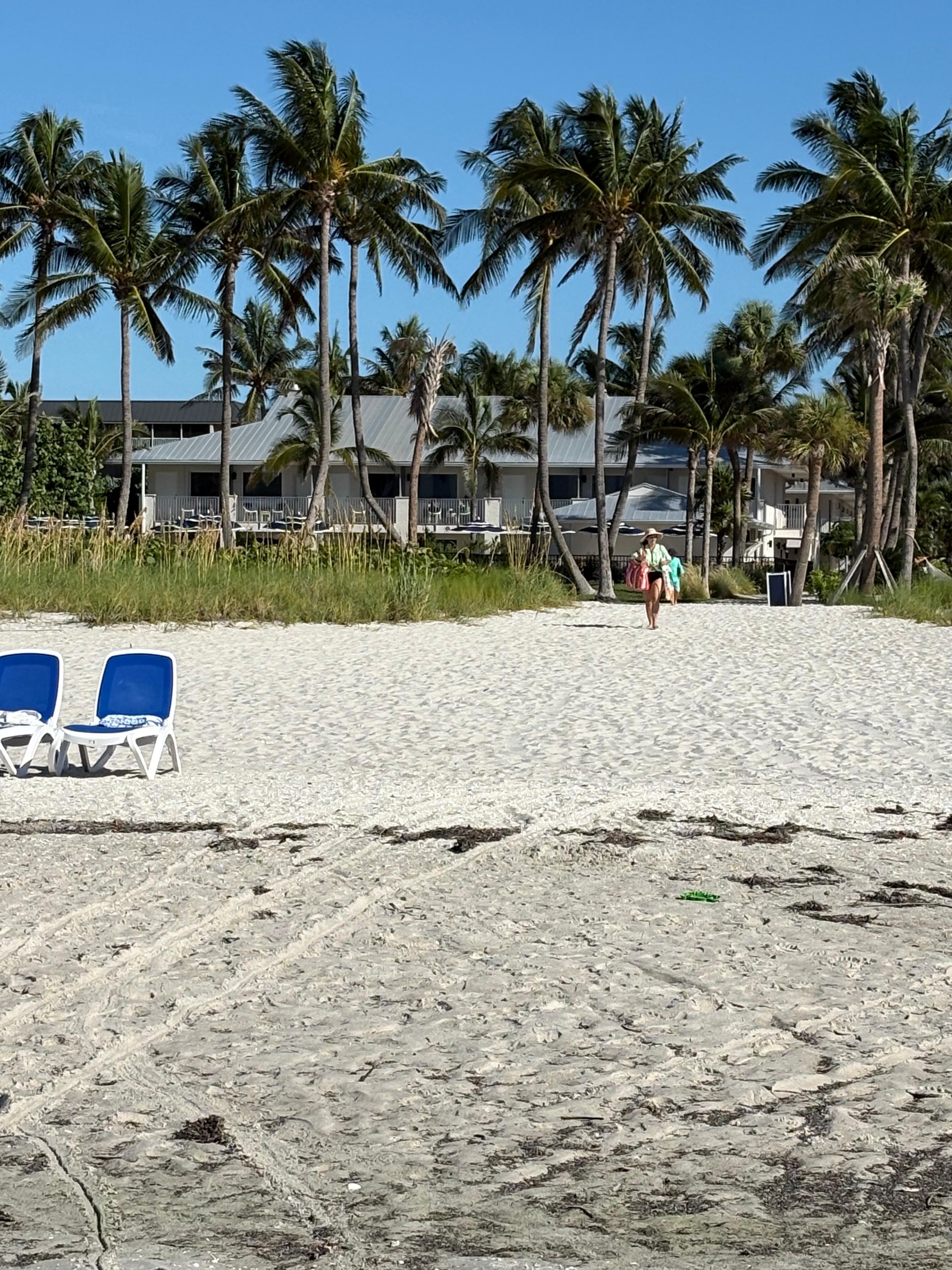 Hotel view from the beach