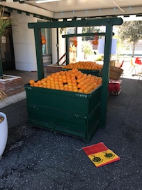 Love the oranges at Ferris Groves. Don’t forget to try their strawberry milkshake. Sunshine! You will find Ferris Groves in Floral City close to Inverness. This was my favorite place to visit. Love Florida in January!