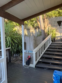 Steps down from street.