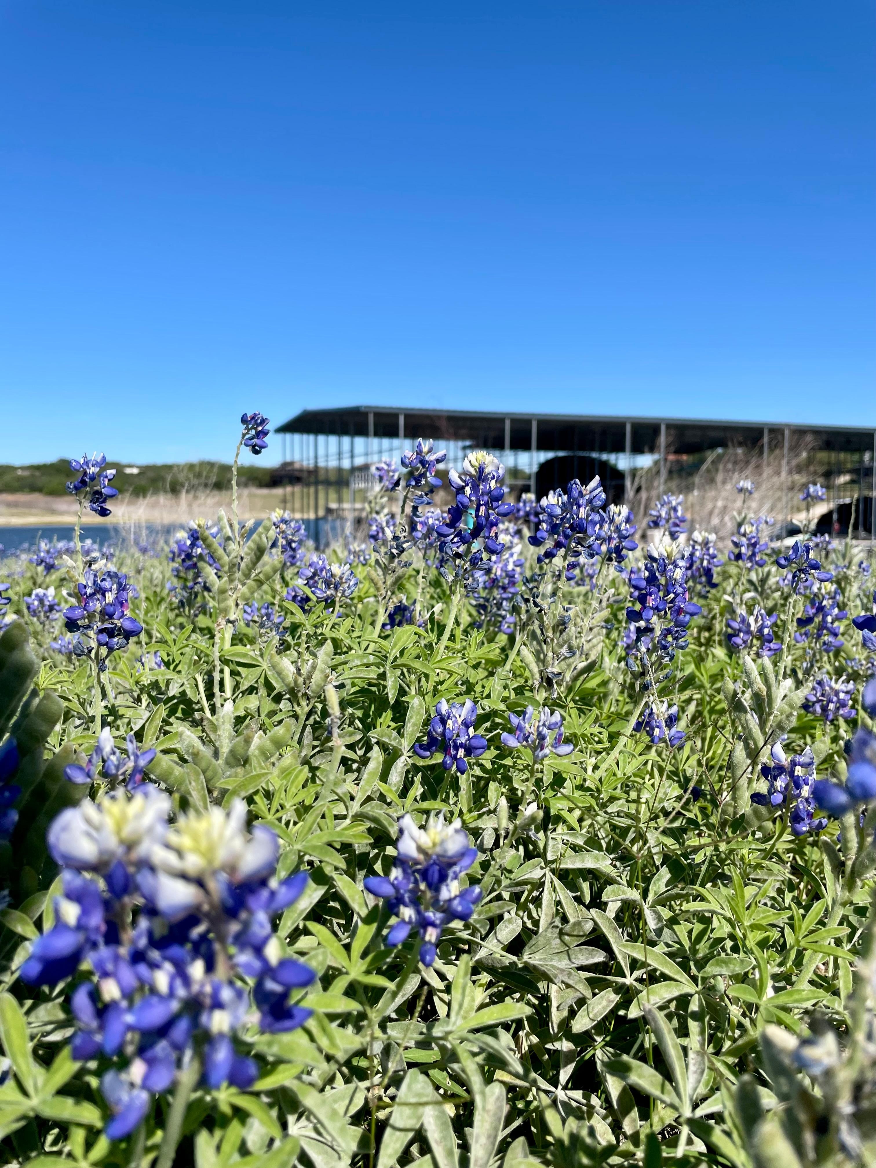 Taking along the waterfront on property.