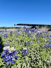 Taking along the waterfront on property.