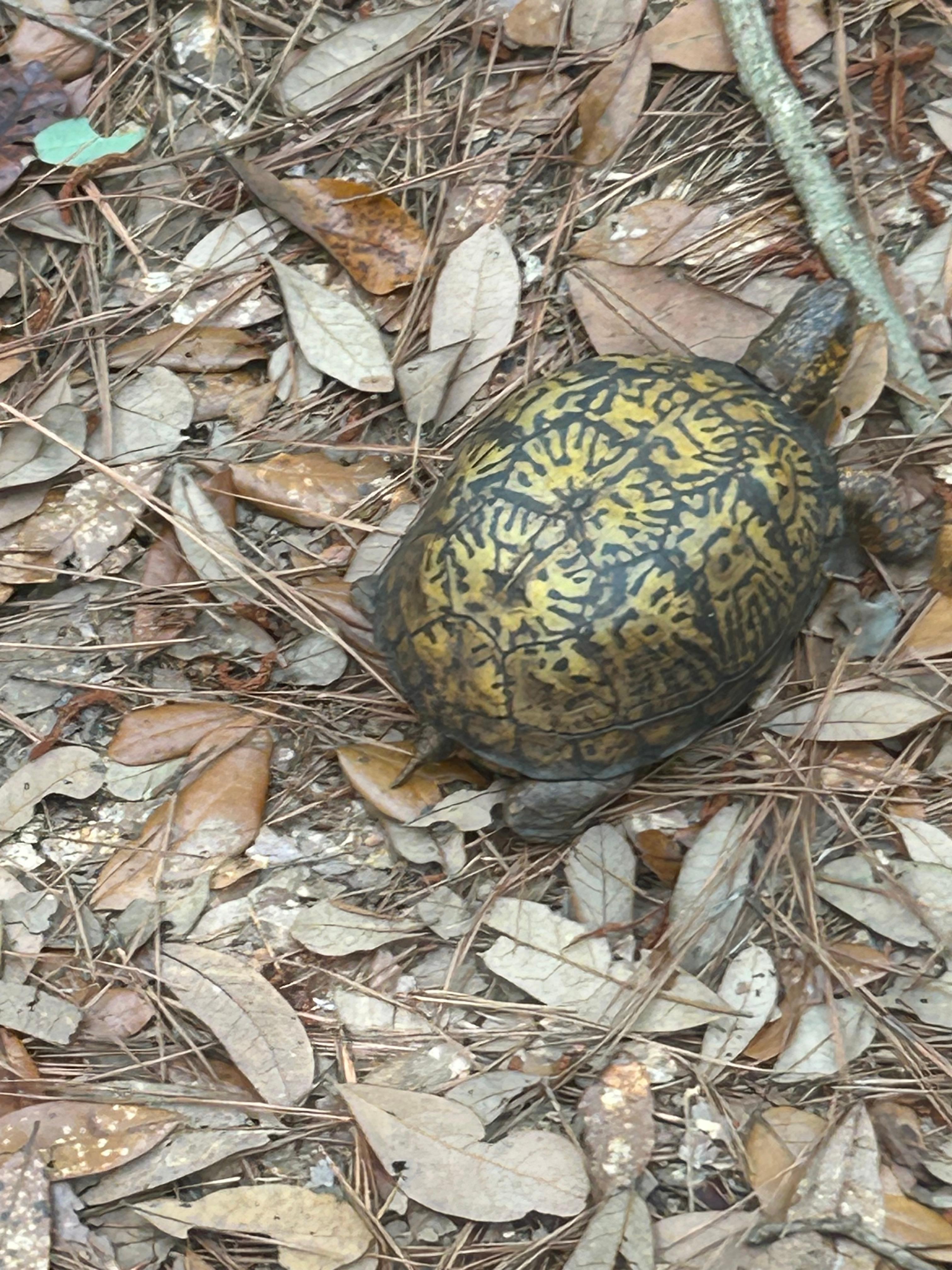 Found during our hike