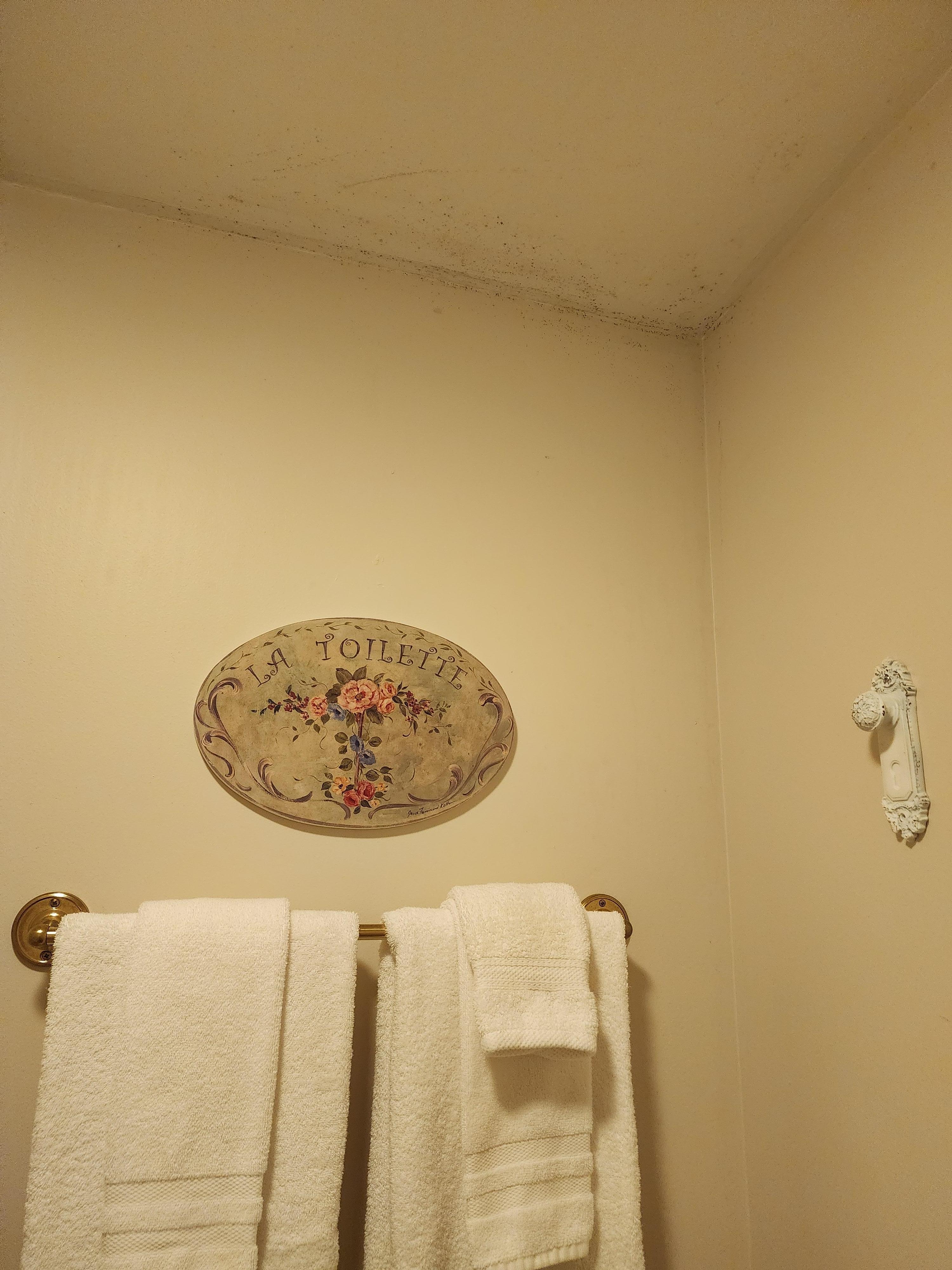 Mold above toilet