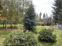 Looking out the living room window.