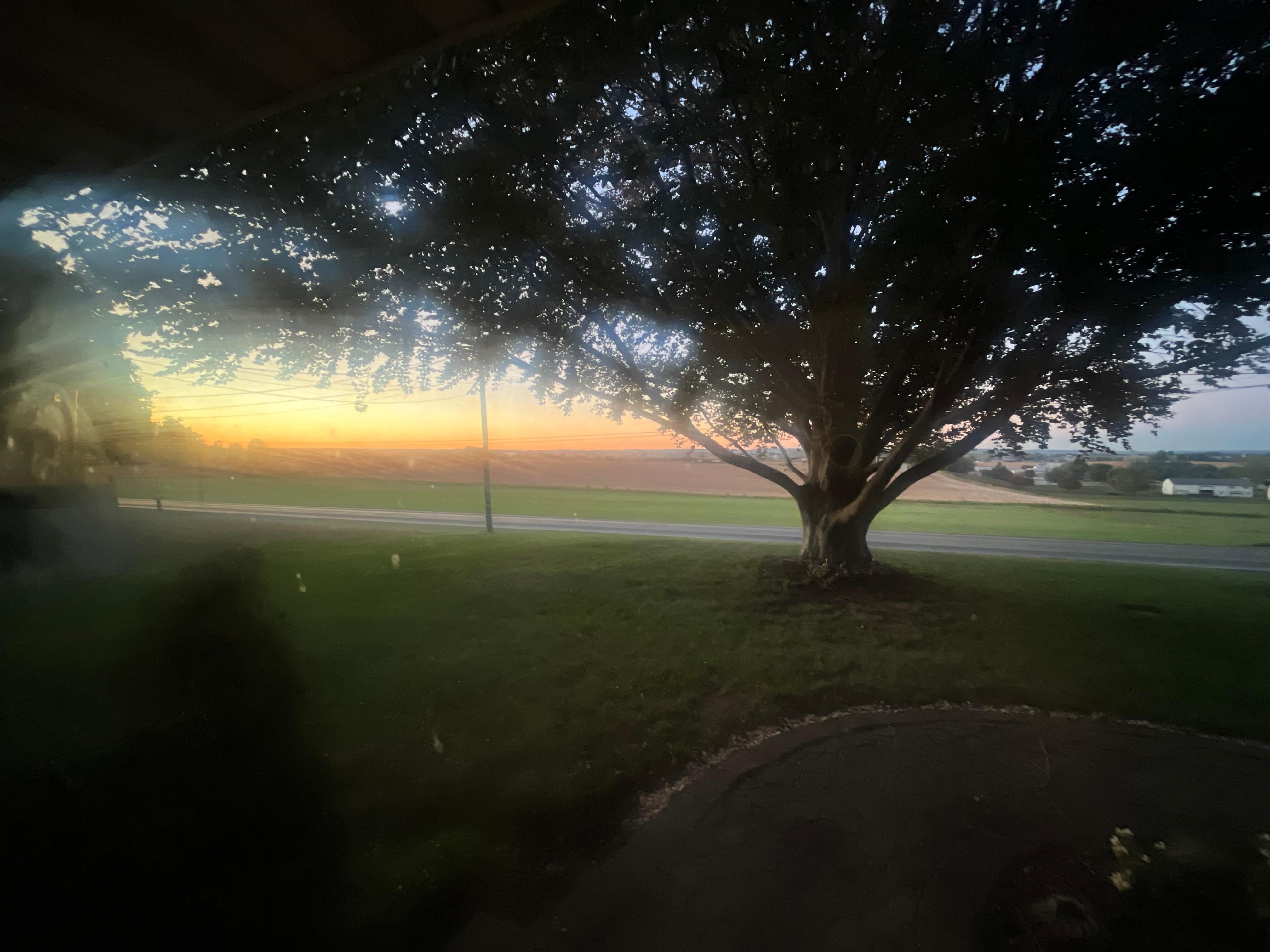 View out the front door at dawn
